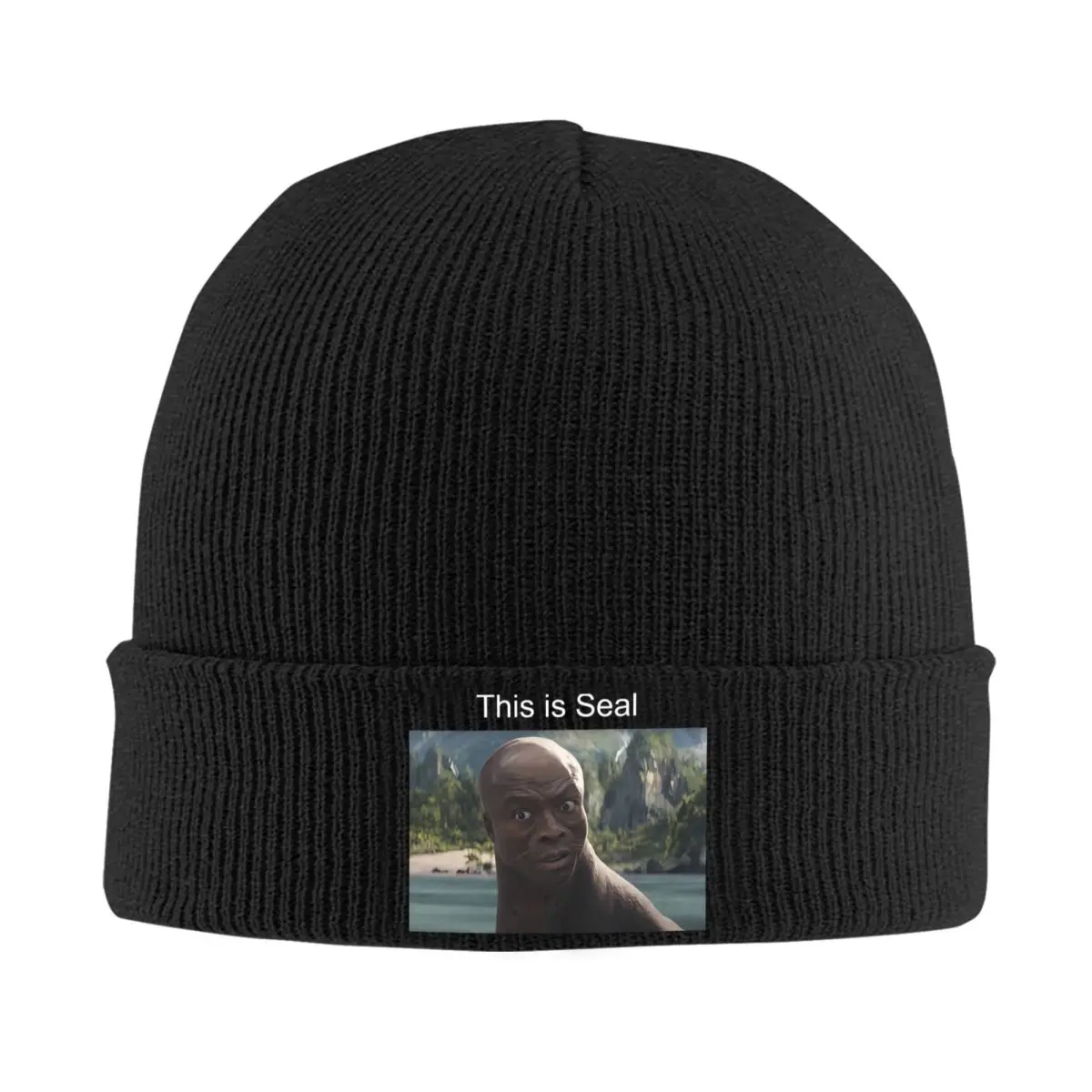 This Is Seal Funny Super Seal Bowls Knitted Hats Quality Winter Y2K Unisex Headwear Knitted Caps