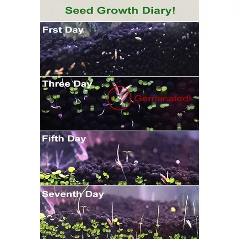 3 akvarieväxtfrökombination utan konstgjort sötvattensgräs för akvariumterrarium dvärgmatta 10 best sales akvariegräsfrön - №8