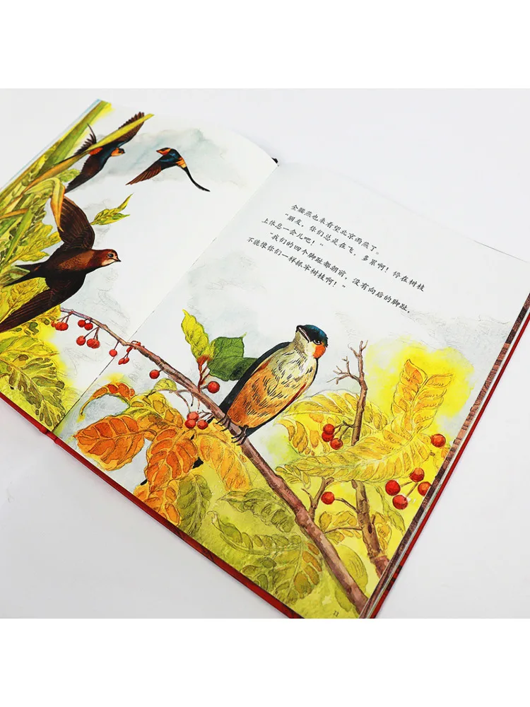 Libro-Winshare La nuova casa di Pechino Swift