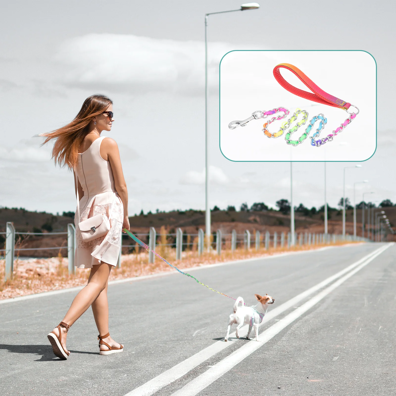 

Professional Dog Leash Sturdy Rope for Medium Dogs Wear Resistant Chain 25mm Long Outdoor Walking Pet Supplies Dog Accessories