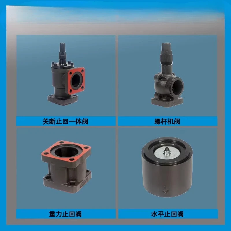 Ductile iron check valve for refrigeration compressor 123