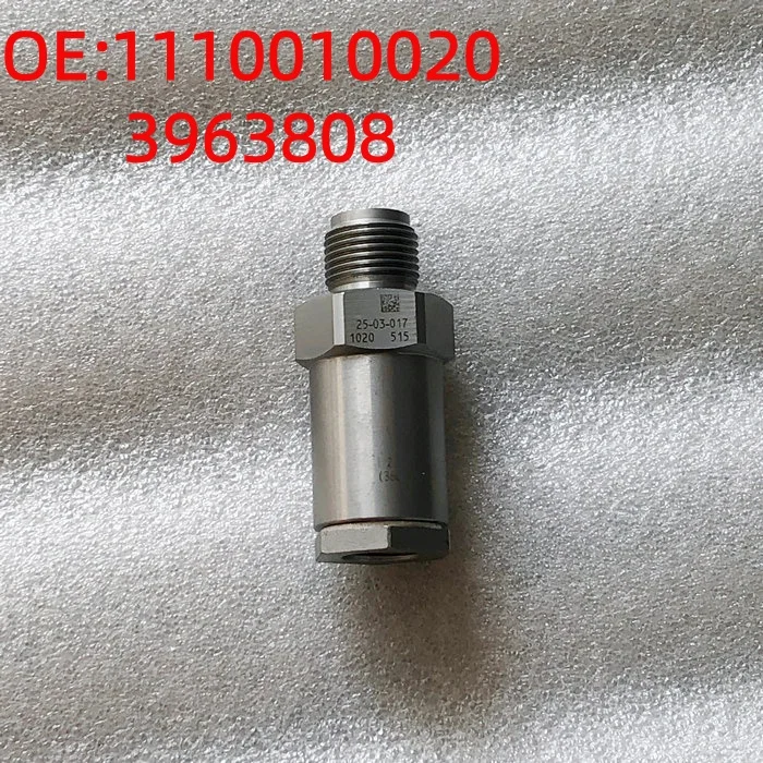 Common Rail Pressure Limiting Valve 1110010020 3963808 Compatible With Cummins ISLe Diesel Engines