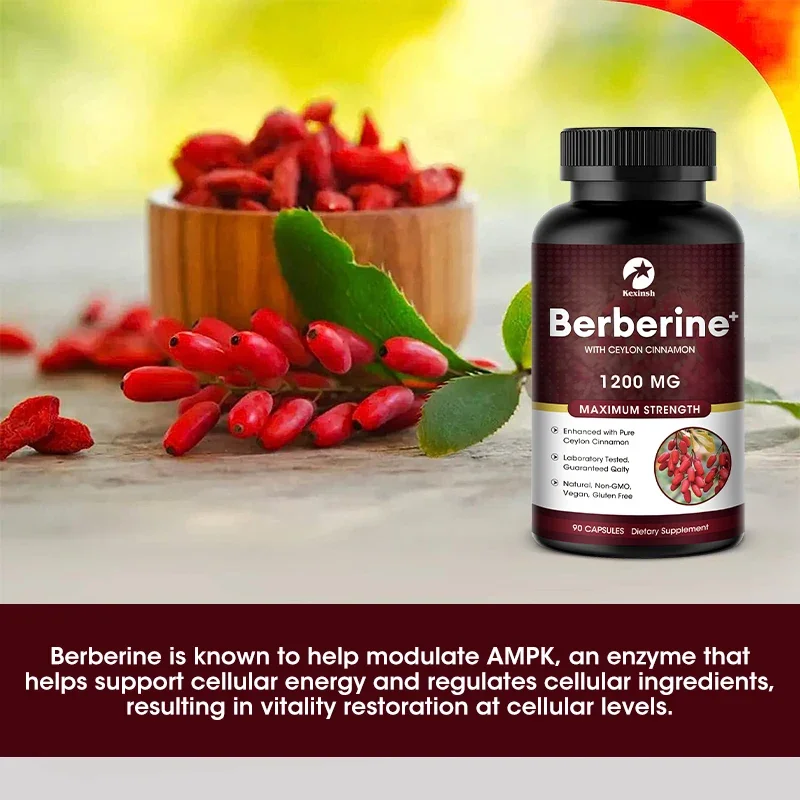 Berberine Capsules Ceylon Cinnamon Turmeric Bitter Melon Extract Milk Thistle To Support Glucose Balance Liver Health Digestion