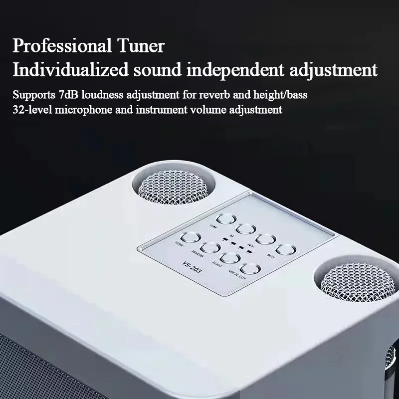 نظام كاريوكي منزلي مكبر صوت بلوتوث لاسلكي مع ميكروفون مزدوج، صوت محيطي عالي الطاقة، مركز موسيقى مع TF USB