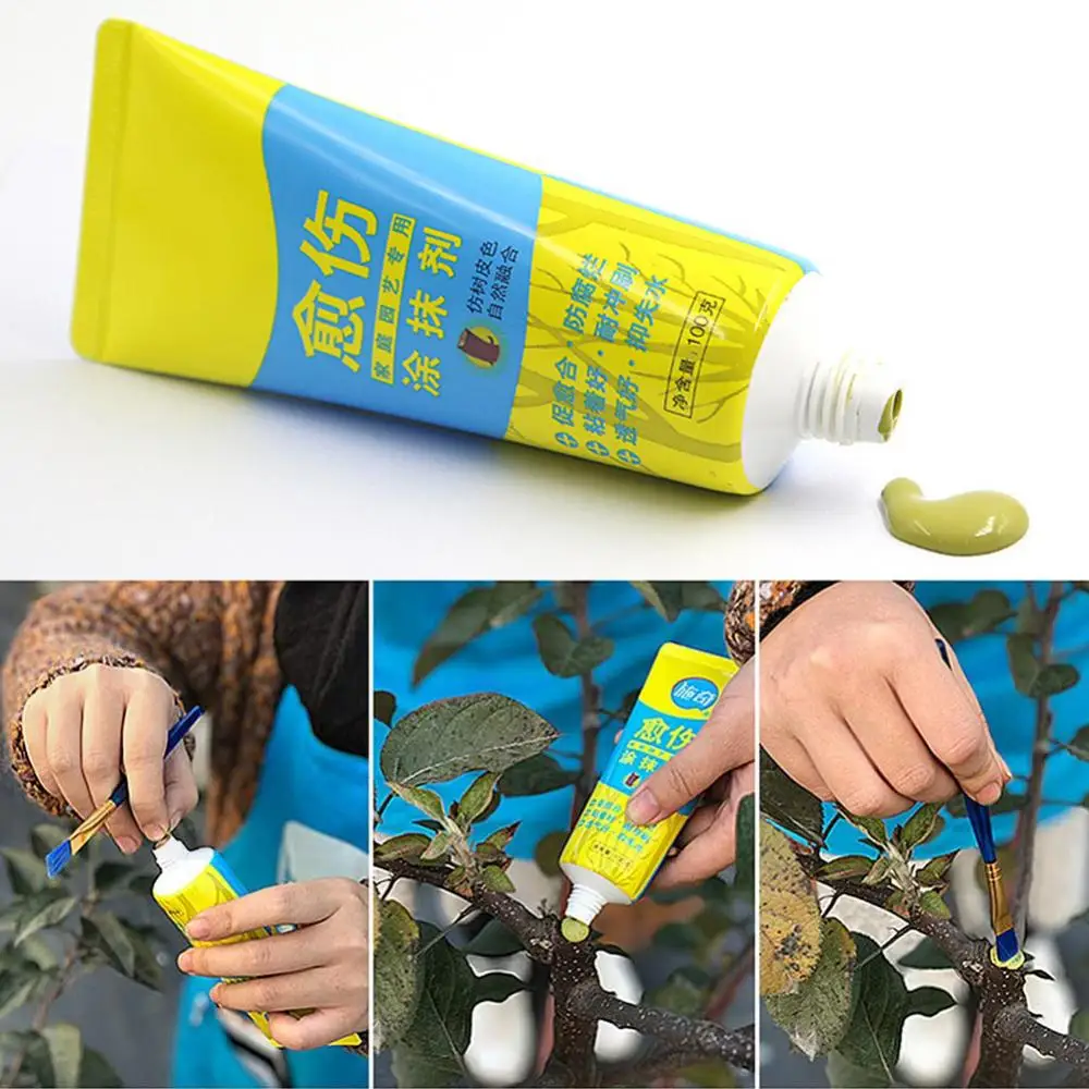 100g Plant Tree Wound Cut Paste Smear Agent Pruning Compound Sealer with Brush