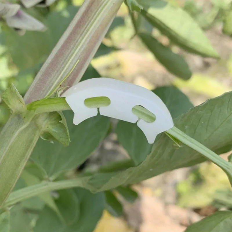 50 pçs botânica-haste videira cintas clipes jardim planta empacotado fivela anel ferramenta fixar suporte tomate flores fixo suppor