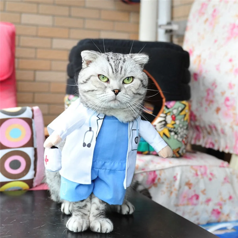 

AD04-Popular ClothesDog Clothes Guitar ClothingCat and Dog Pet ClothingStanding Clothes Guitar Transformation ClothesFunny Cloth