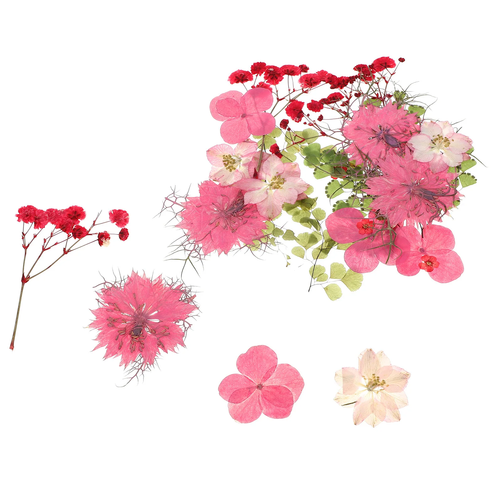 30 個ピンク押し花本物の自然色 DIY フラワークラフト材料結婚式の装飾ホームオフィスパーティー手作り花