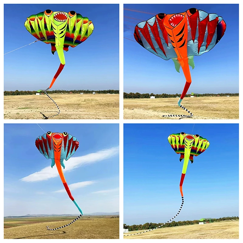 

Free Shipping 12.5m fish kites flying soft kites nylon fabric kids outdoor activities street toys drill winder parafoil kite koi