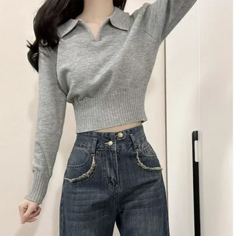 2024 Chic Turndown Collar Sweaters Female Gray Slim Fit Long Sleeve Cropped Sweater for Woman Streetwear Knit Pullovers