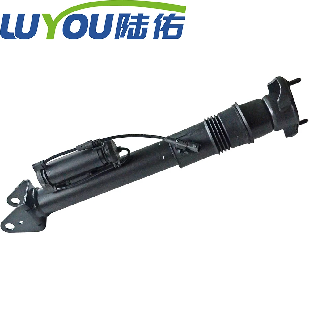 

2513202931 LUYOU Auto Parts 1 pcs Rear Shork Absorber For Mercedes Benz W251 OE A2513202931