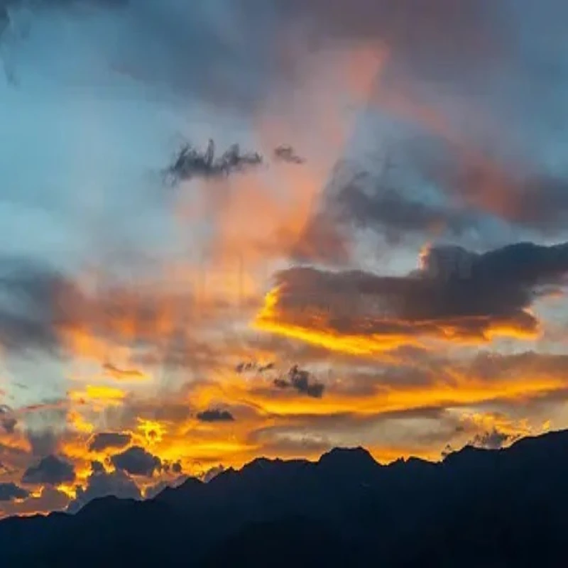 Ramię z włókna węglowego HGLRC Sector X5 210mm, Sector D5 225mm, 5mm do dronów FPV Freestyle 5 cali, analogowych i cyfrowych.