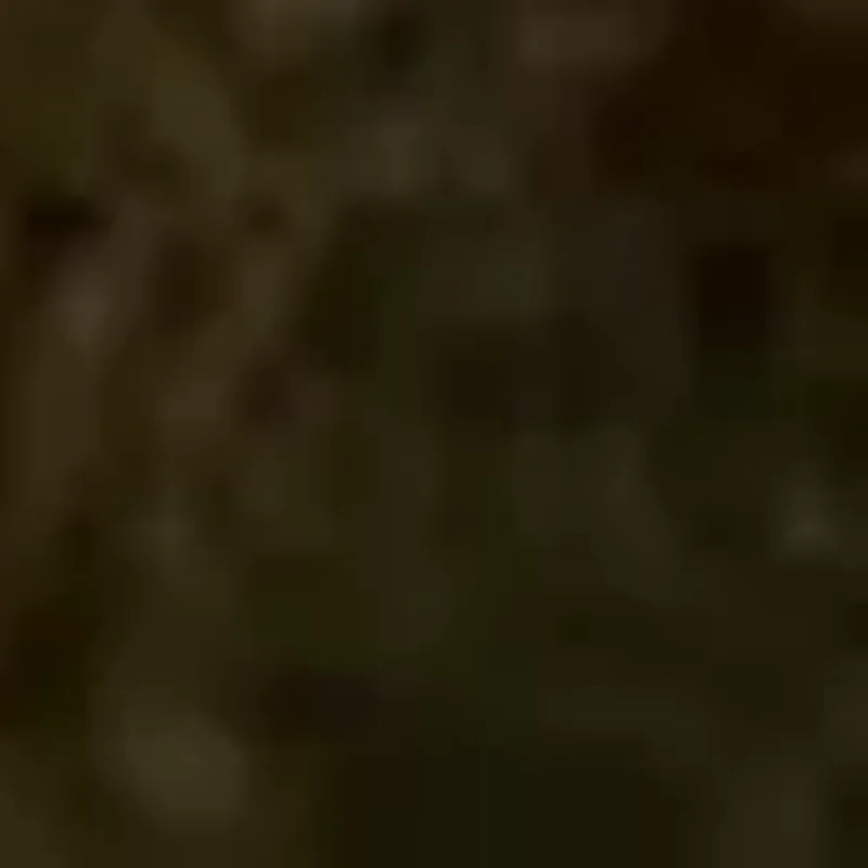 

Multifunctional Portable Folding Pocket Combs Wide Tooth Oil Head Comb Beard Combing Barber Hair Clipper Comb Hair Styling Tools