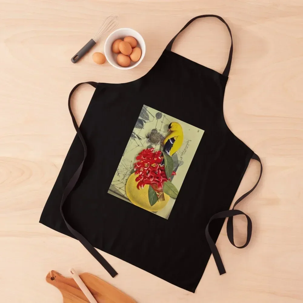 

Gold Finch Apron Kitchen Items Teacher Restaurant Kitchen Equipment Apron