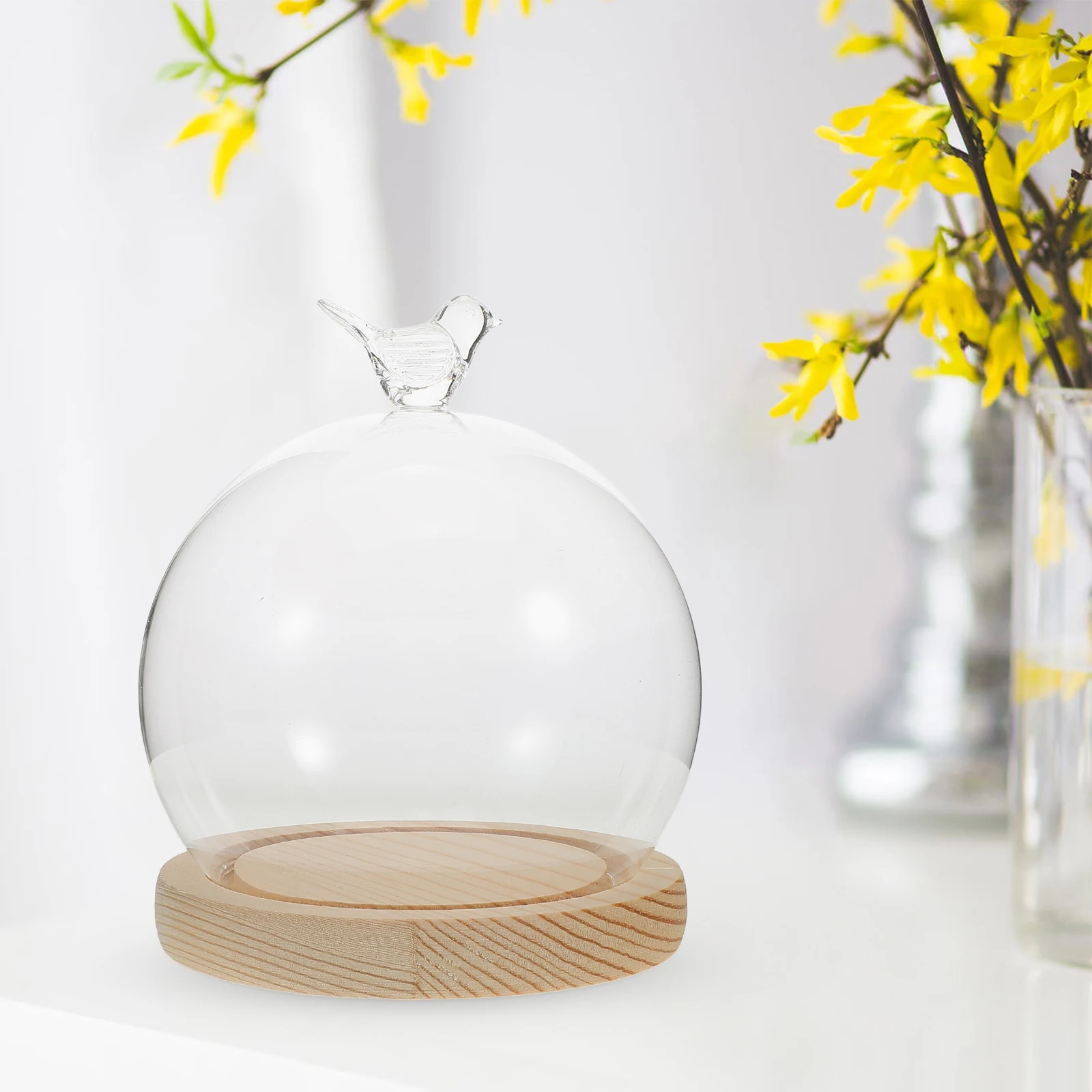 

1Set Glass Display Dome Cloche Clear Globe with Bird Knob Display Case for Preserved Flower Vintage Home Decor