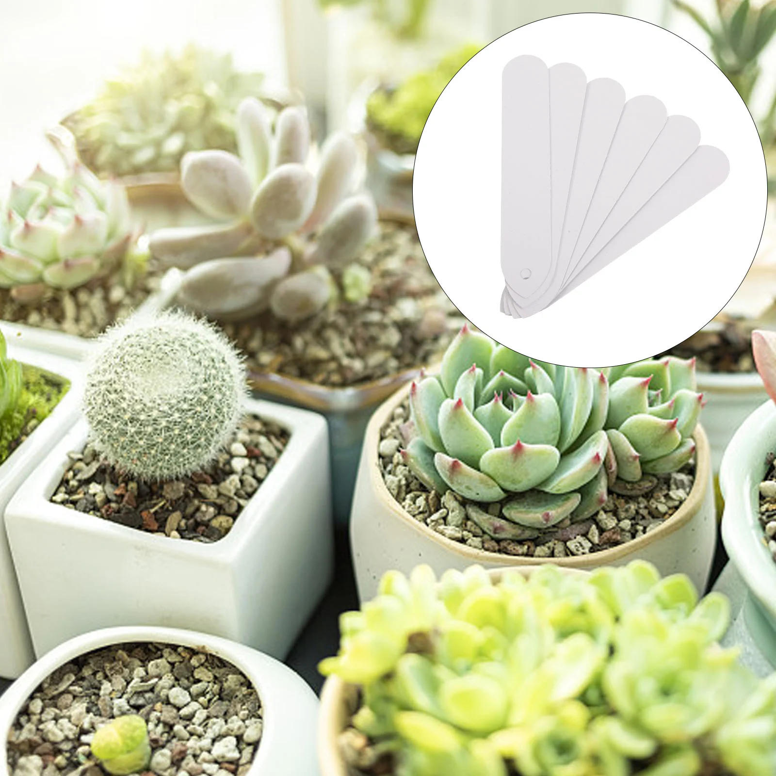 100 ชิ้น Round Hole ป้ายกันน้ําแท็กพืชสําหรับ Succulents ดอกไม้ง่ายใส่ดินสวนกลางแจ้งเครื่องหมาย 10x2 สีขาว