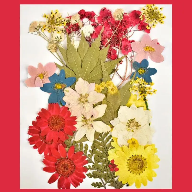 علامة مرجعية على شكل زهرة مضغوطة، علامات مرجعية شفافة مصنوعة يدويًا للزهور المجففة، صانع صفحة إبداعي جميل للأصدقاء والأمهات