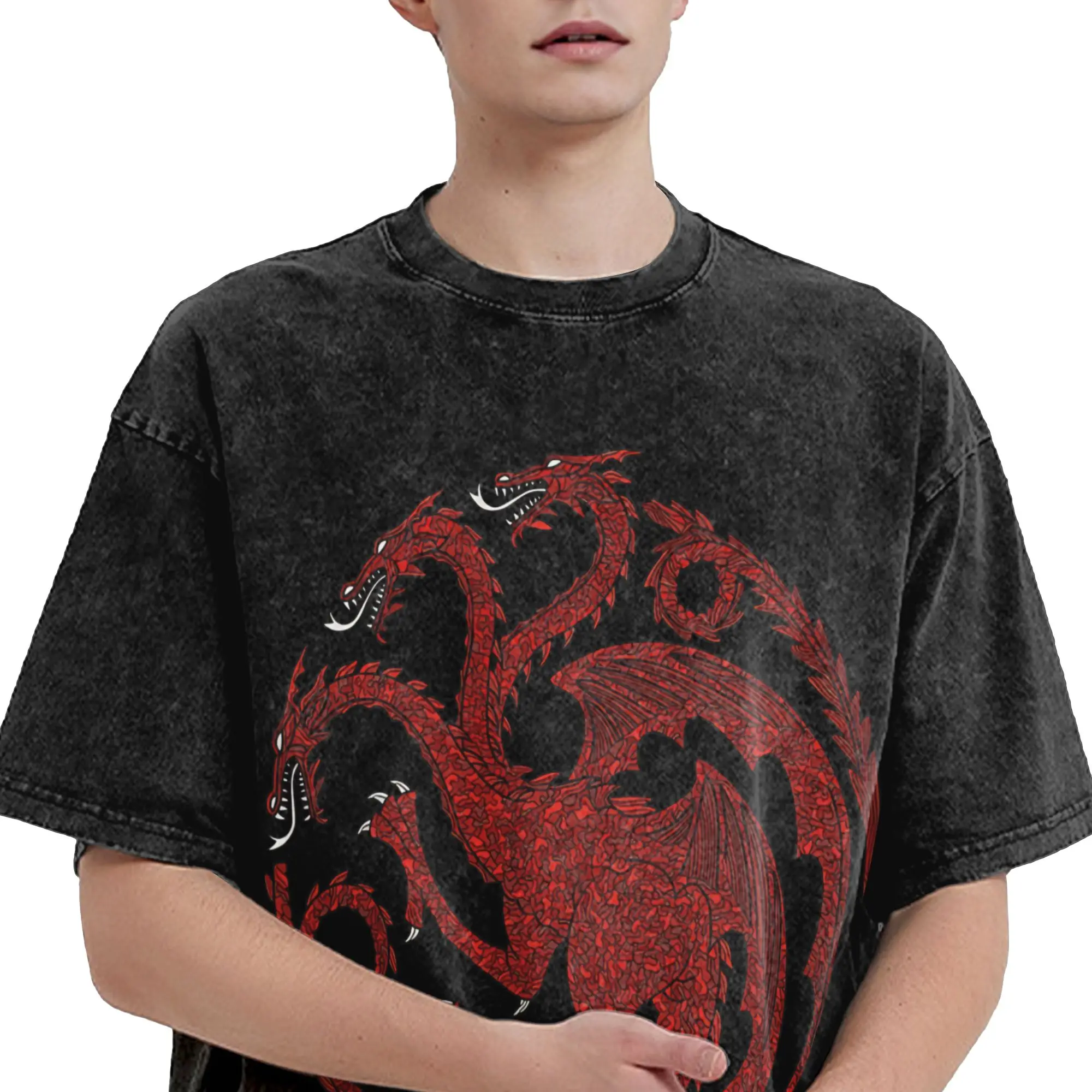 House Targaryen Houses of the Dragons Outfit Washed T Shirt for Men Women Streetwear Hip Hop T-Shirts Printed  Tees Short Sleeve