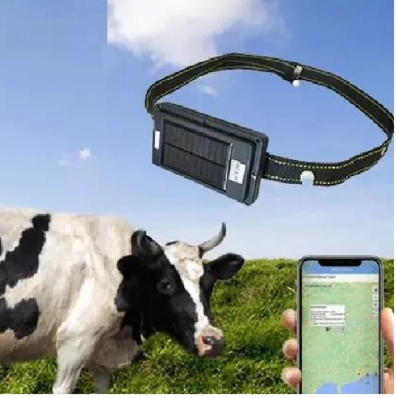 

2G GPS Tracker Real Time Long Standby 20000mAh Waterproof GPS Tracker for Sheep Horse Cattle GPS Locator GPS Tracker for Cow