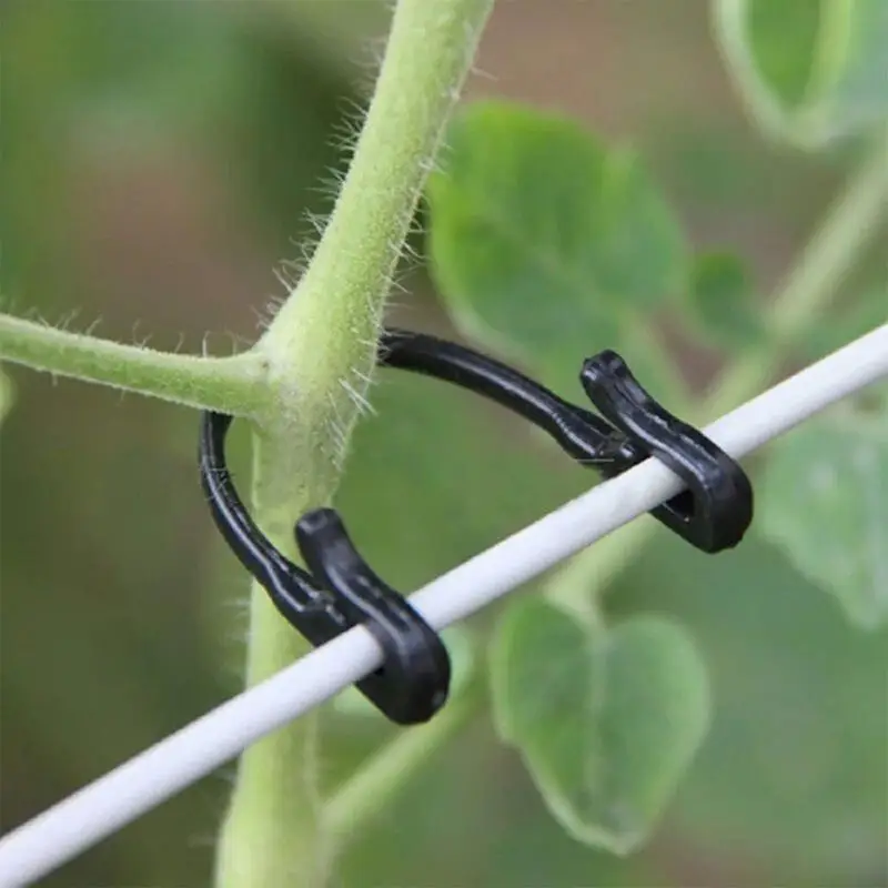 【L】50Pcs Plant Vine Binding Clip Garden Plants Fixed Clip Buckles Tomato Vegetable Grape Support Vine Clip Fixed Plant Clip