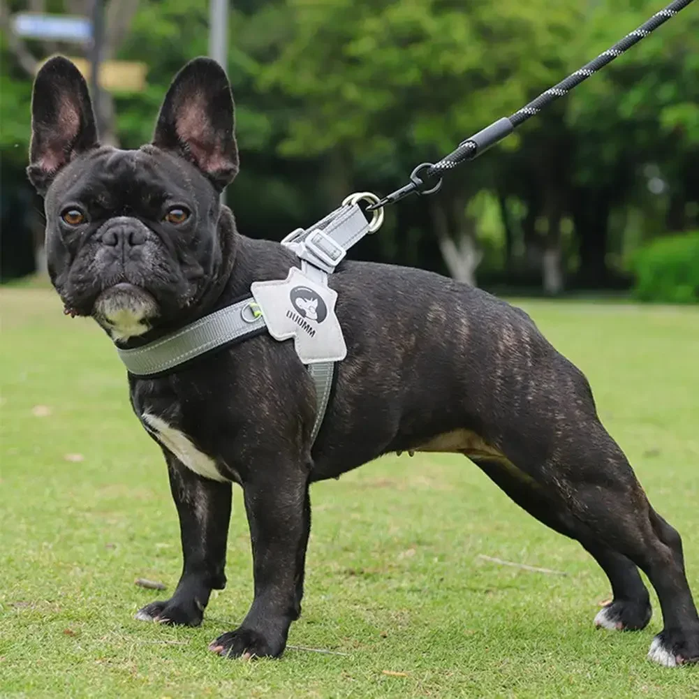 Ensemble harnais et laisse réfléchissants pour chien, maille respirante, Anti-fuite, toutes tailles réglables, fournitures pour animaux de compagnie sûres pour la nuit