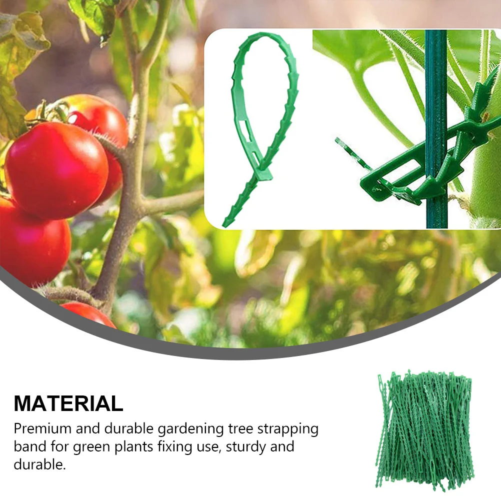 Double Sided Tape Heavy Duty Garden String Plants Rattan Climbing Tree Fixing Tie Rose Ties for Green Gardening Binding