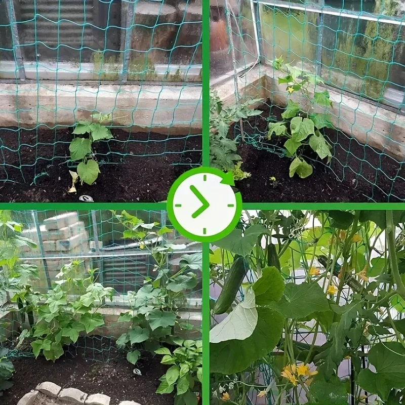 Plant Trellis Pergolas Heavy-Duty Polyester Grow Net Garden Trellis Netting with Square Mesh for Climbing Plant Vegetables 27ply