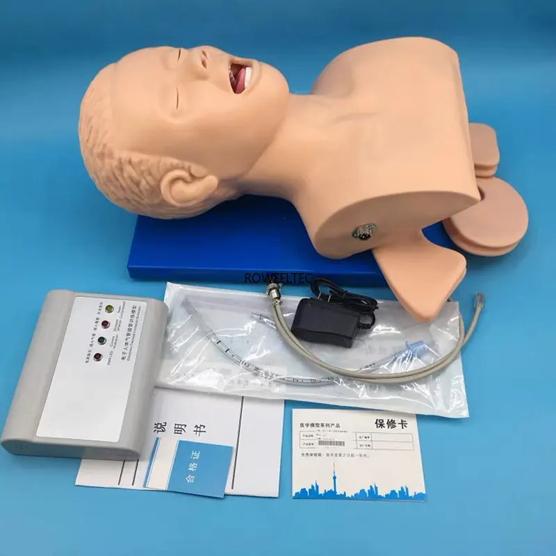 

Intubation Manikin Study Teaching Model Airway Management Trainer PVC with Teeth ATT