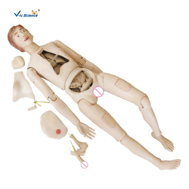 

Advanced Female Male Nurse Training Doll with Blood Pressure Training Arm for Students