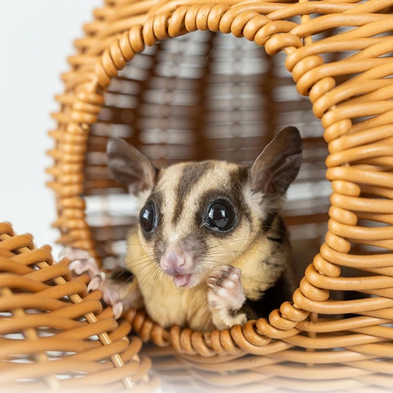 Thumbnail 2 - #12 Hamster Cages Comparison Guide