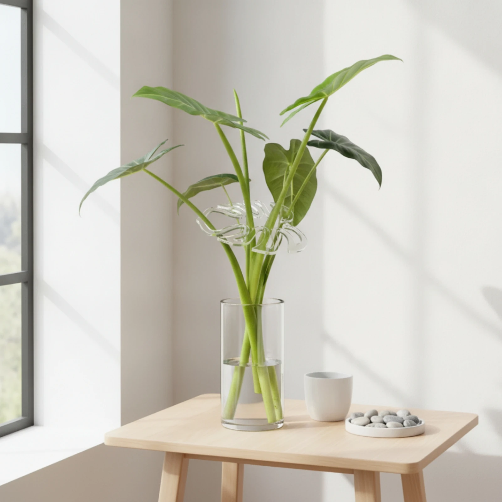 Monstera Plant Bundling Loop Prevents Drooping Transparent Plant Fixator Acrylic Stalk Holder Sturdy Transparent Flower Stalk