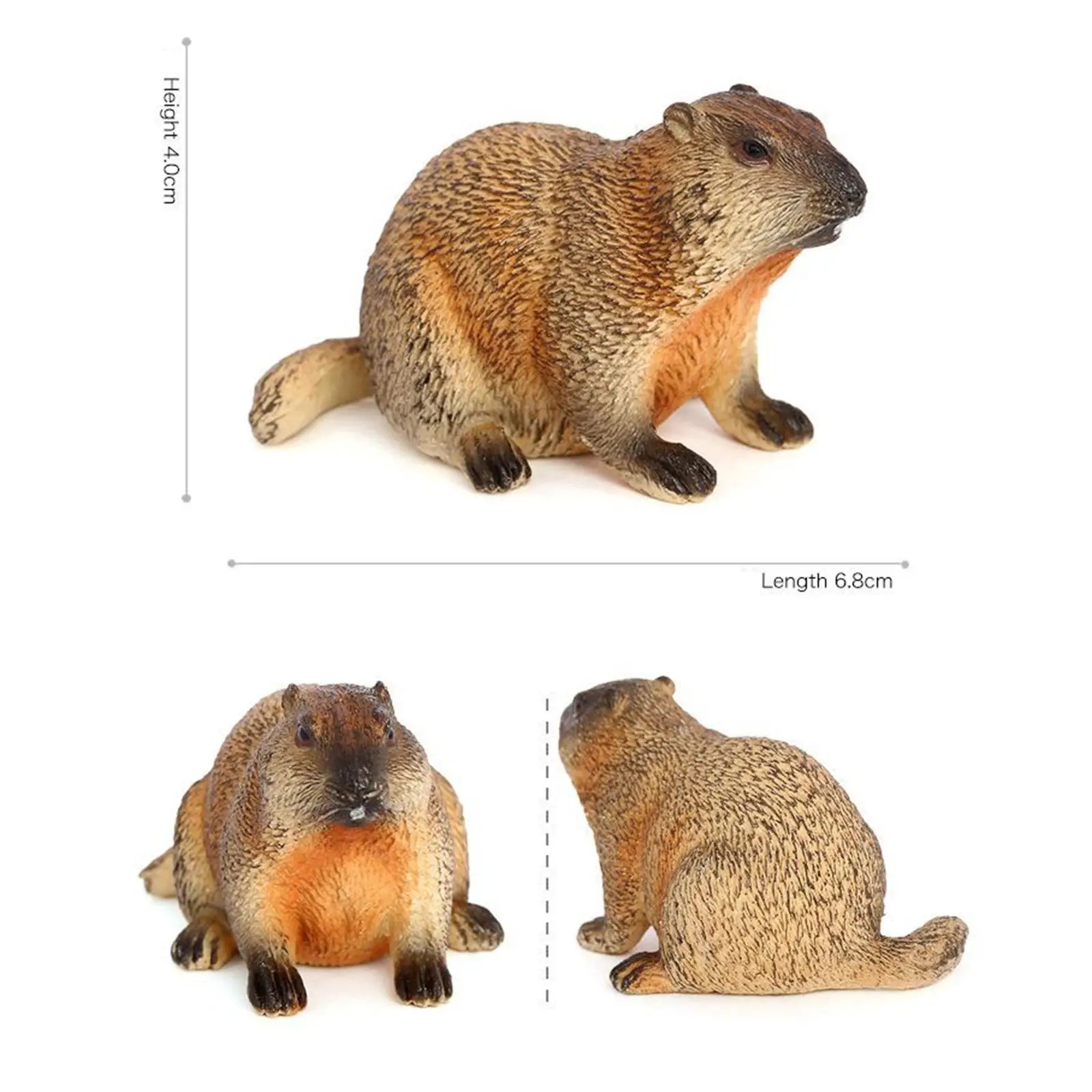 محاكاة الحيوان تمثال PVC نموذج تمثال عمل الشكل جمع واقعية لغرفة المعيشة الحديقة مكتب ديكور