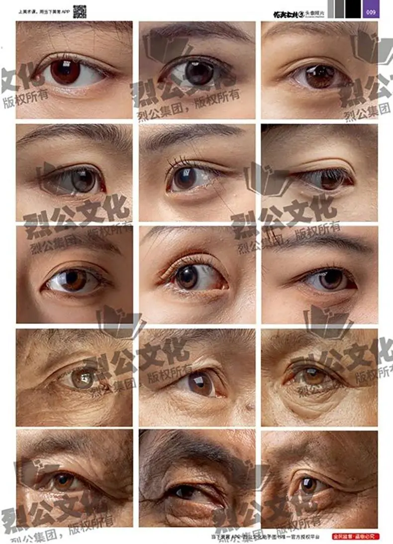 Classic textbook 5 head photos 2025 Li Gong cultural multi-angle half-length portrait