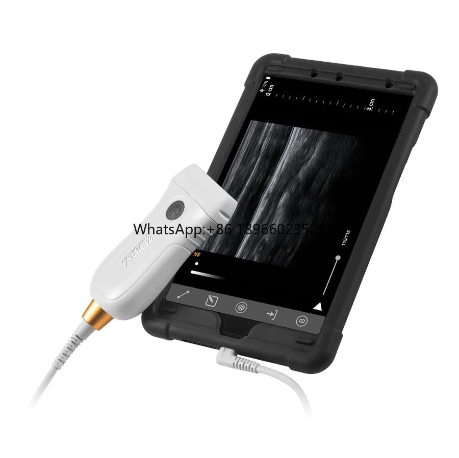 

New Design Reliable pet animal Veterinary ultrasound probe for cows sheep pig