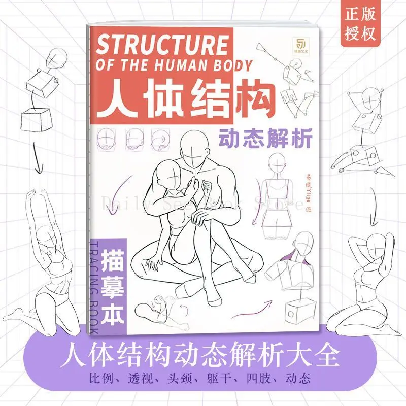 

Human Body Structure Dynamic Analysis Tracing Book, Sketch Human Body Copying Book, Animation Sketch Sketch Hand Painting