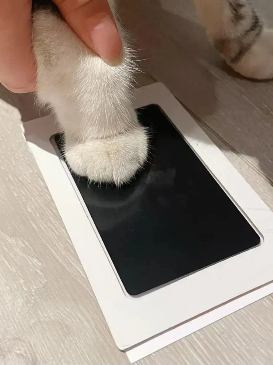 4er Set Baby-Hand-Und Fußabdruck-Stempelkissen Sicher Ungiftig Berührungslos Tintefreies Stempelkissen-Kit Pfotenabdrücke Von Haustieren Katze Hund Souvenirs GeschenkeBaby Handabdruck Fußabdruck Stempelkissen Sicher – Detail 8