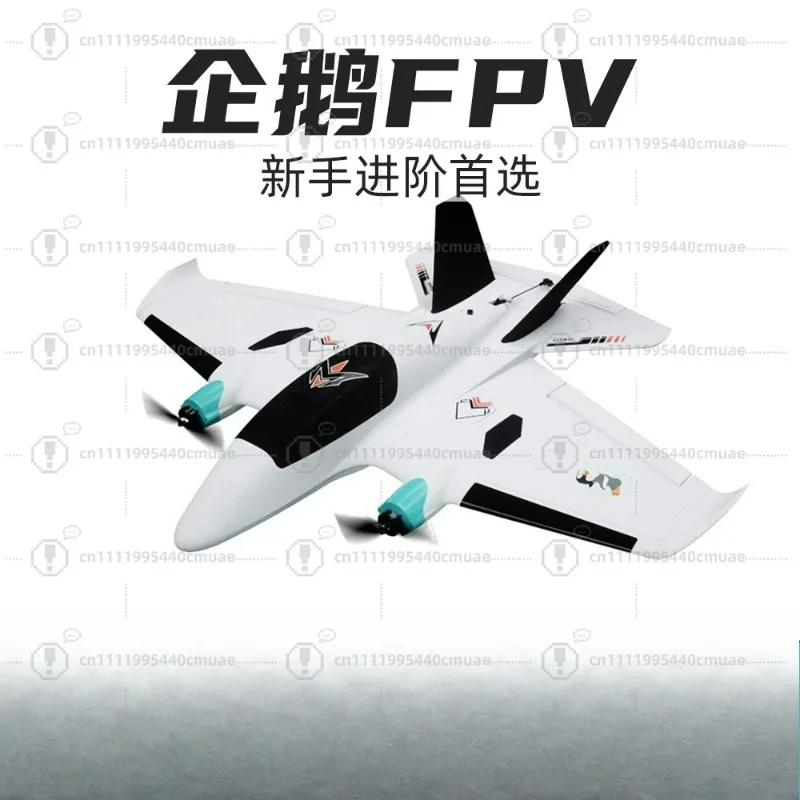 Fixed wing model aircraft fpv penguin twin-engine crossing machine flying novice remote control DIY toy type