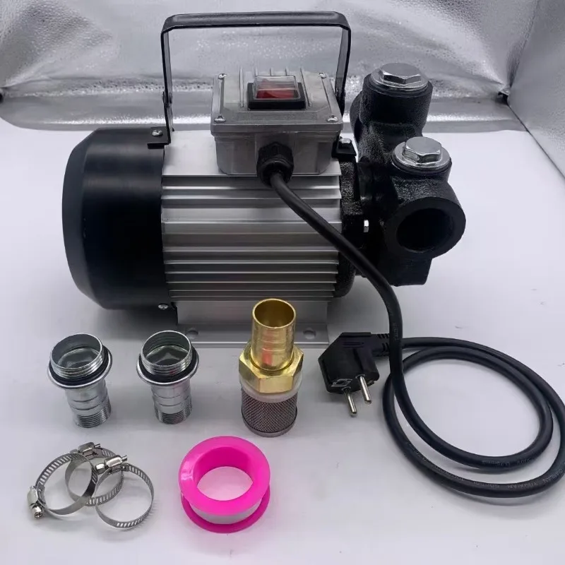 220V 550W High Power Electric Diesel Transfer Pump Portable Fuel Pump For Diesel Oil Extraction And Fuel Dispensing Work