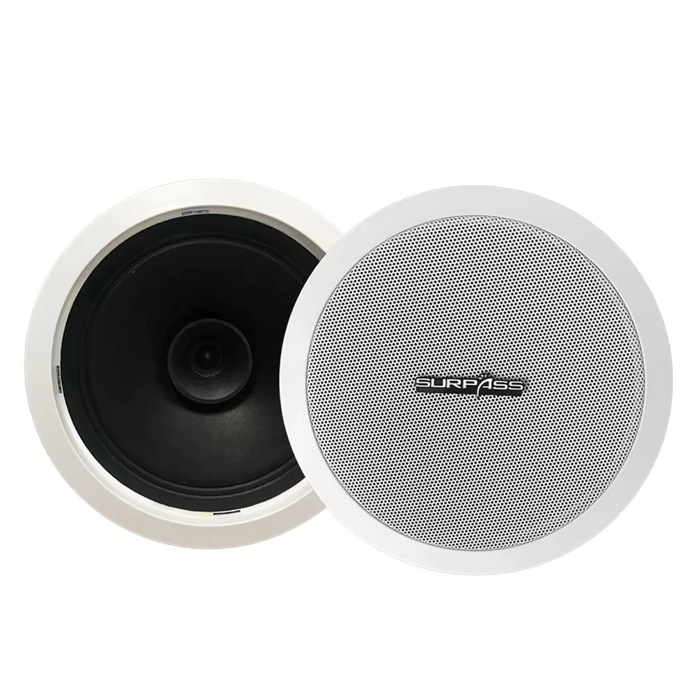 Рисунок 5 - Встроенный усилитель класса D