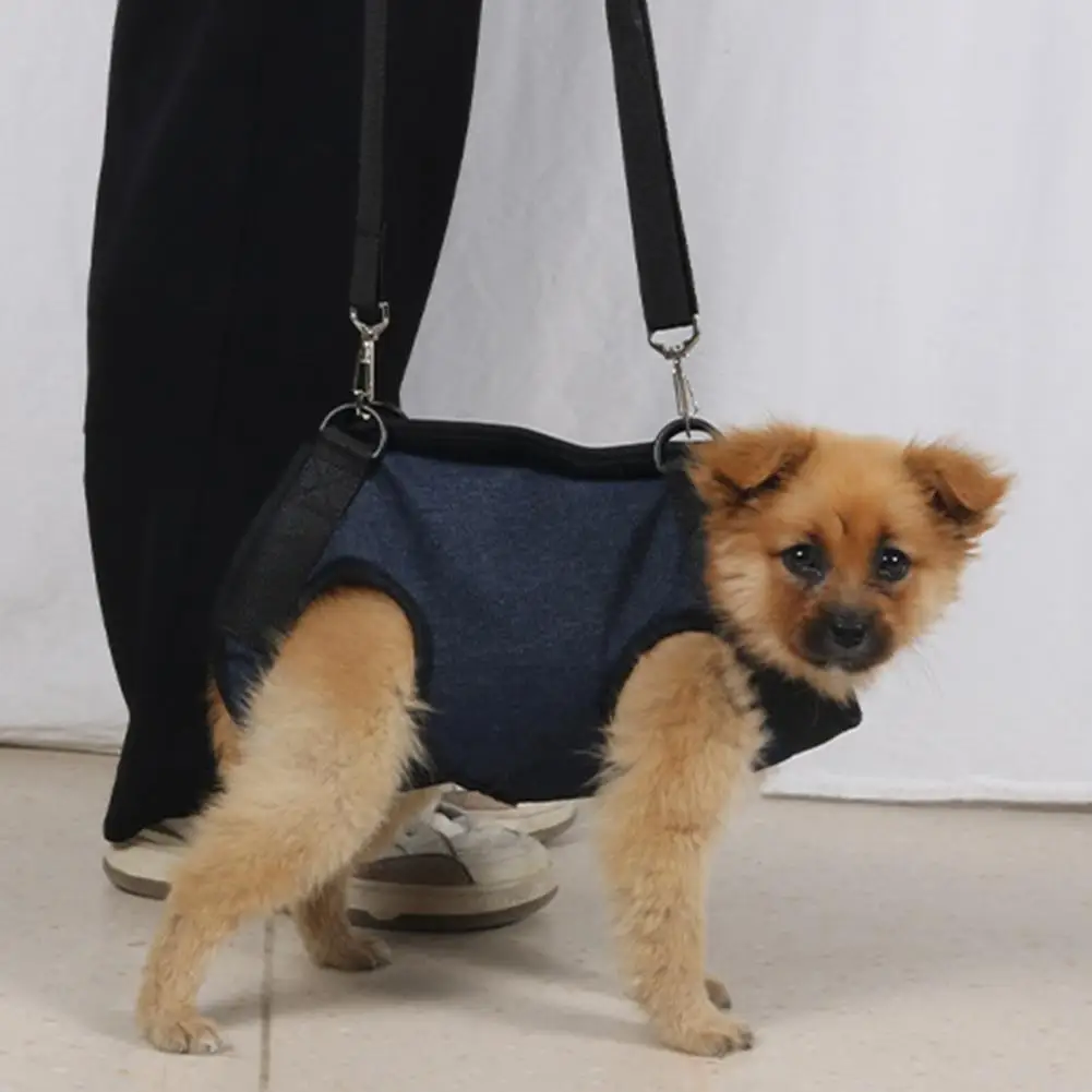 Adjustable Dog Lift Harness for Outdoor Activities Post-surgery Support Comfortable Pet Belt with Back Leg Support