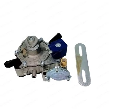 

AT09 high-quality petroleum liquefied gas Tomaset multi-point direct injection evaporator automobile gas distribution