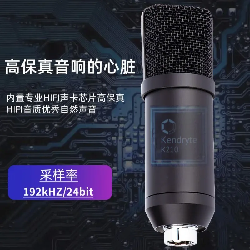 Wired Microphone USB Capacitor Microphone Recording Noise Reduction Large Diaphragm Computer Microphone Sound Card Set