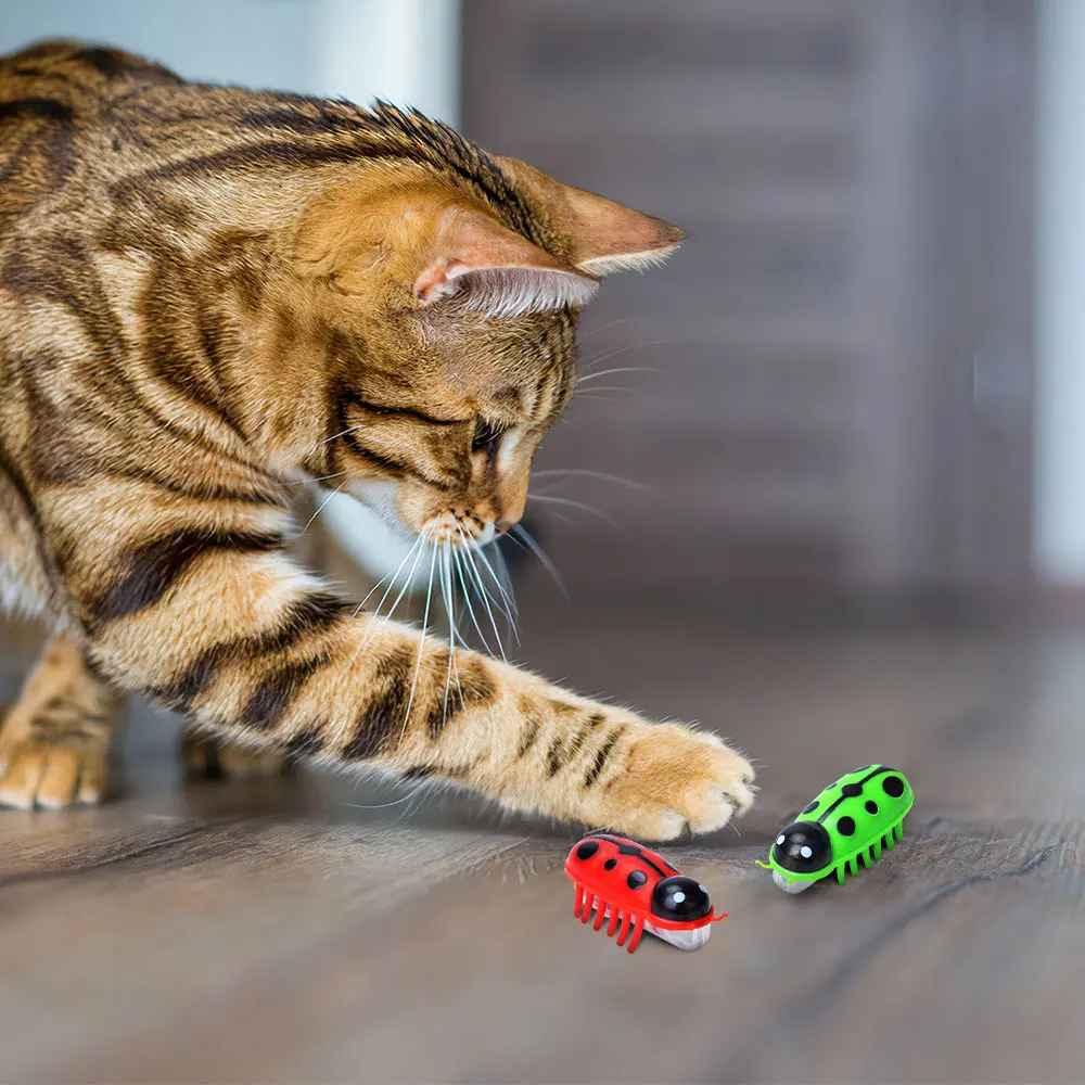 2pcs Pet Cat Toy Mini Electric Bug Toy Interactive Cat Toy Movement Cute Ladybird Beetle Automatic Flip Toy For Cats Accessories