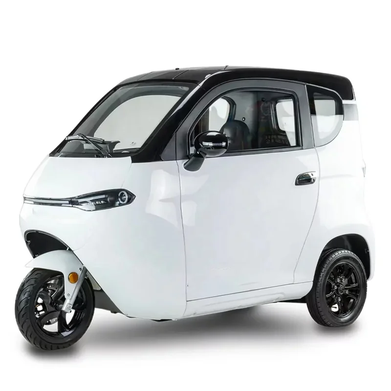 New Design Enclosed Scooter 1500W Tricycle Motorcycle Lithium Car