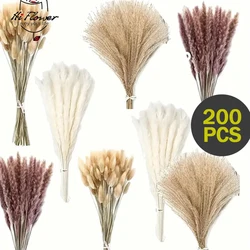 200PCS Pampas Grass Dried Flowers Boho Decoration Home Farmhouse Country Wedding Room Table Decoration Bouquet Bunny Tail Grass