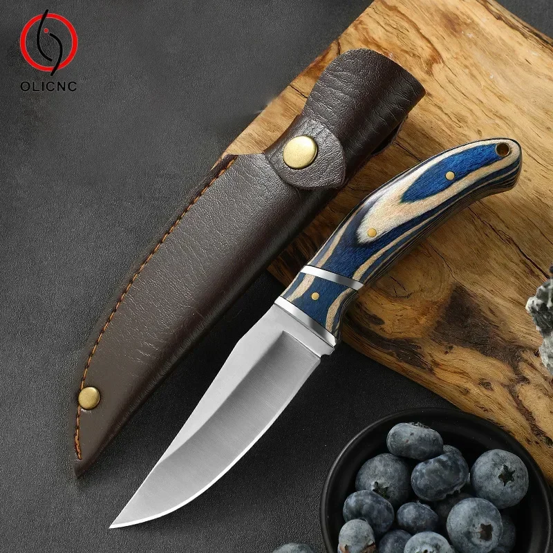 

Portable Camping Kitchen Knife Wooden Handle Stainless Steel Household Sharp Paring Pocket Barbecue Meat Knife