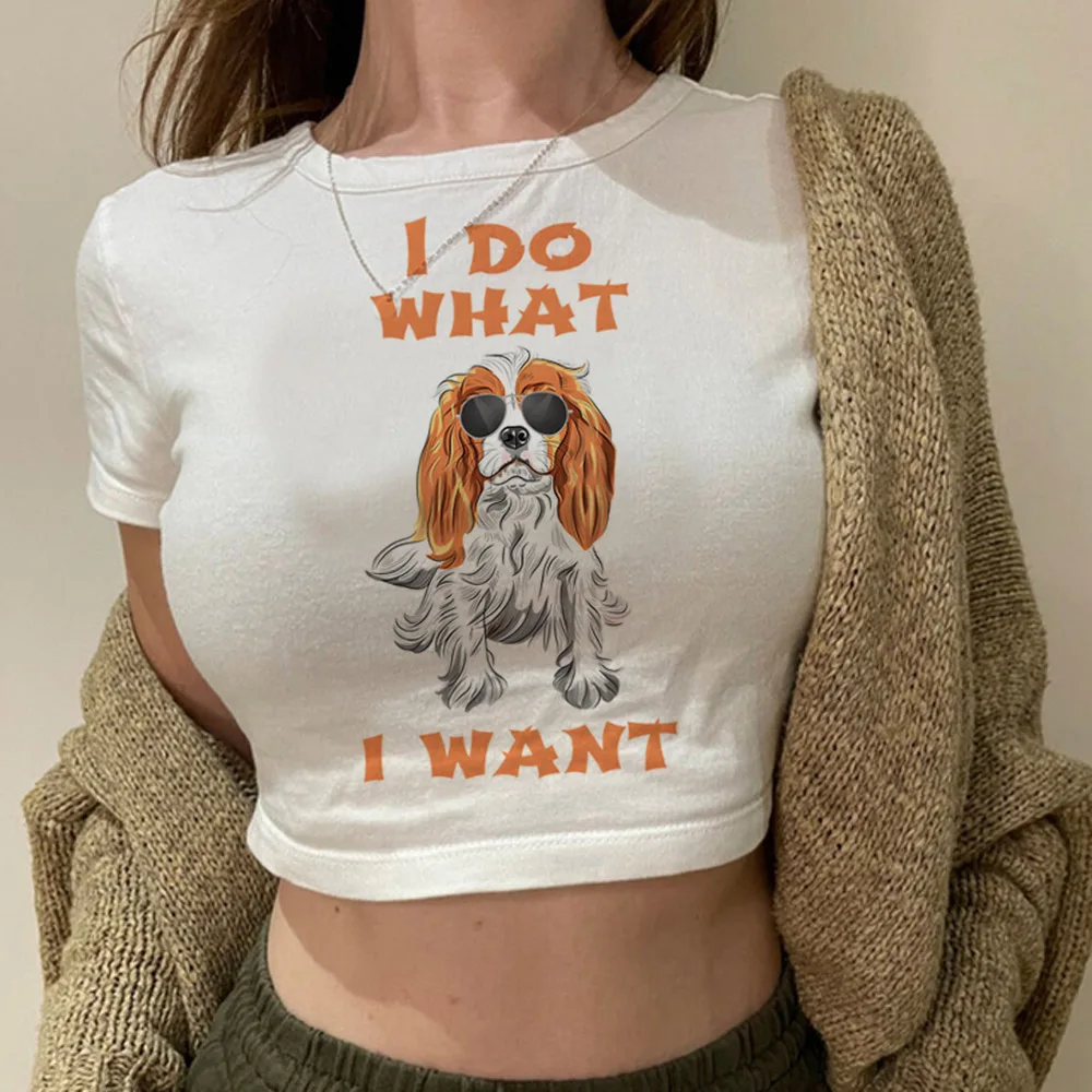 Cavalier King Charles Spaniel Dog streetwear  graphic  crop top Female trashy kawai vintage Kawaii clothes tshirt