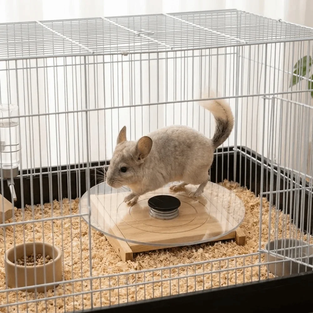 Glass Hamster Running Wheel Silent Long-Lasting Chinchilla Running Plate Stable with Wood Base Hamster Exercise Wheel