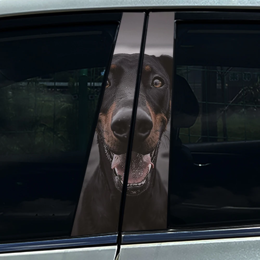 2PCS Aesthetic Blue…