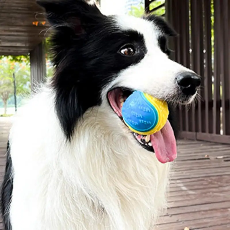 Thumbnail 3 - #29 New Dog Fetch Toys Arrivals